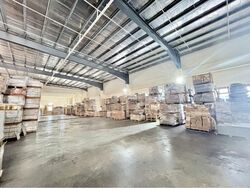 North Spring Bizhub (D27), Factory #521832891